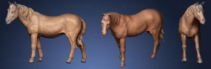 3D model Plastic Horse Toy (STL)